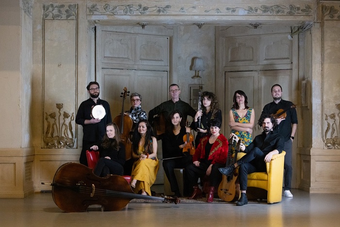 Vienna Acoustic Diaries