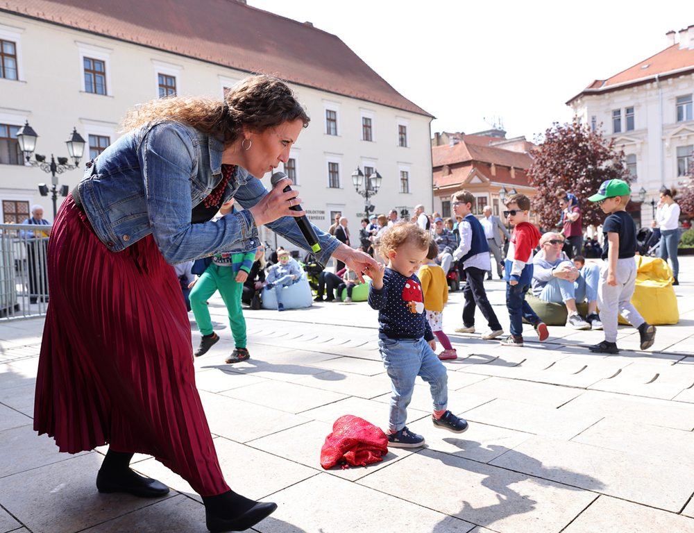 Ritmo Piknik Győr / 2. nap Mekli Zoltán